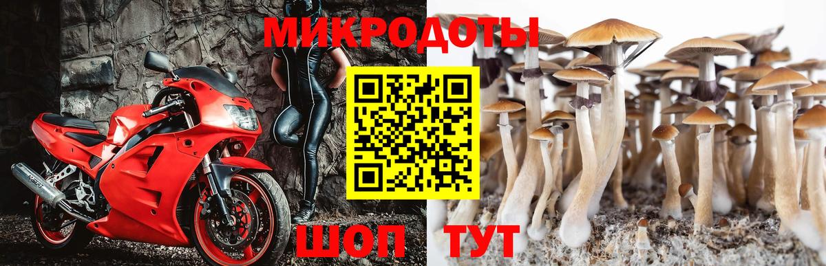 Псилоцибиновые грибы Magic Shrooms Сердобск