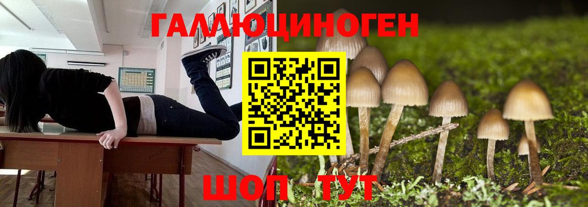 Сердобск  Псилоцибиновые грибы мицелий  Вход с VPN  Галлюциногенные грибы мухоморы 